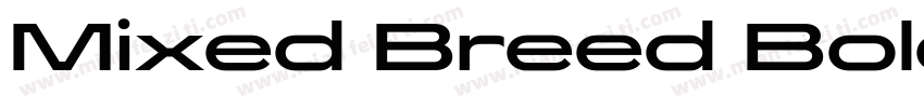 Mixed Breed Bold字体转换